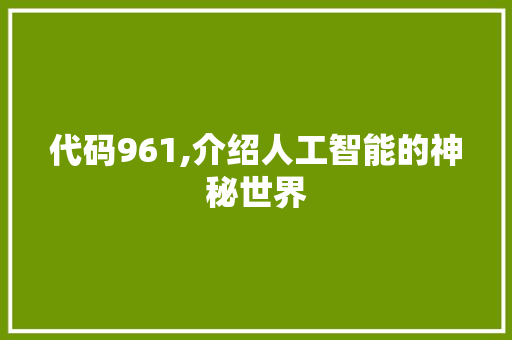 代码961,介绍人工智能的神秘世界