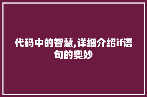 代码中的智慧,详细介绍if语句的奥妙