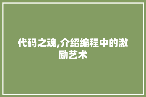 代码之魂,介绍编程中的激励艺术
