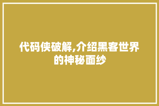 代码侠破解,介绍黑客世界的神秘面纱