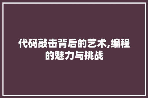 代码敲击背后的艺术,编程的魅力与挑战