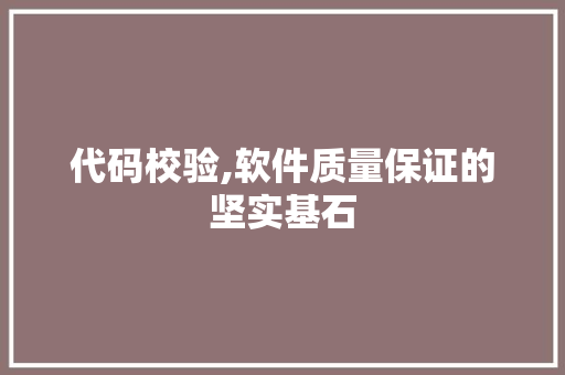 代码校验,软件质量保证的坚实基石 服务器/数据库