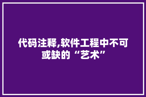 代码注释,软件工程中不可或缺的“艺术”