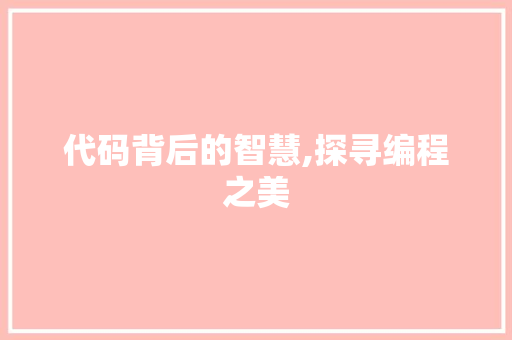 代码背后的智慧,探寻编程之美