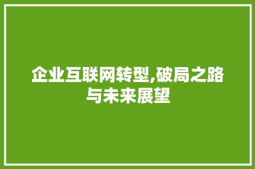 企业互联网转型,破局之路与未来展望