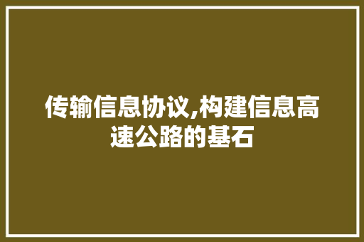 传输信息协议,构建信息高速公路的基石 WordPress教程