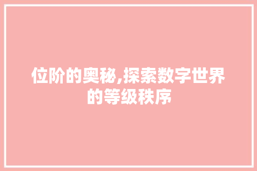 位阶的奥秘,探索数字世界的等级秩序