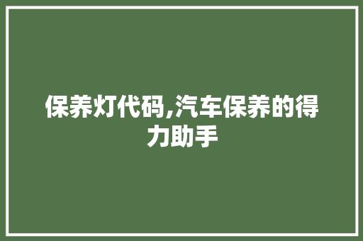 保养灯代码,汽车保养的得力助手