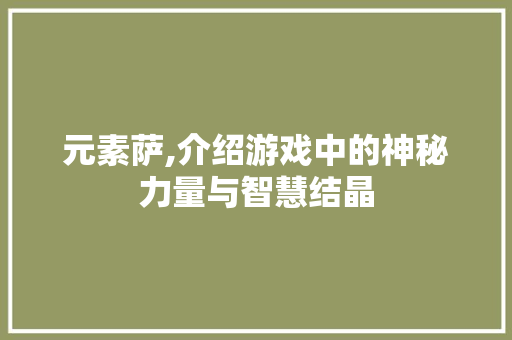 元素萨,介绍游戏中的神秘力量与智慧结晶
