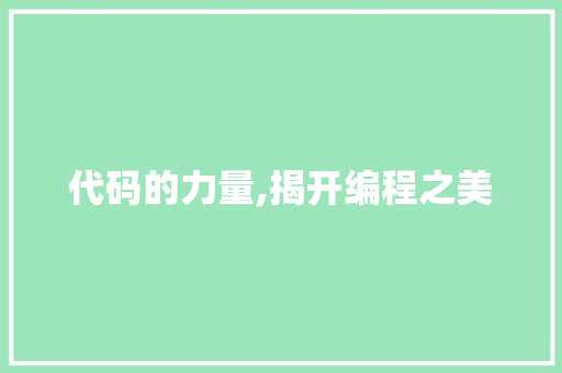 代码的力量,揭开编程之美