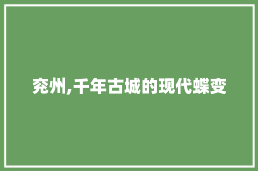 兖州,千年古城的现代蝶变