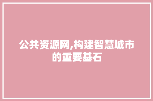 公共资源网,构建智慧城市的重要基石