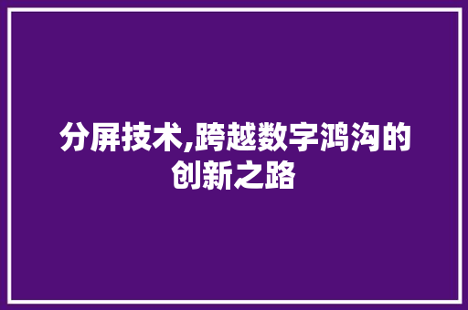 分屏技术,跨越数字鸿沟的创新之路