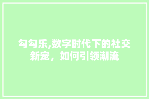 勾勾乐,数字时代下的社交新宠，如何引领潮流