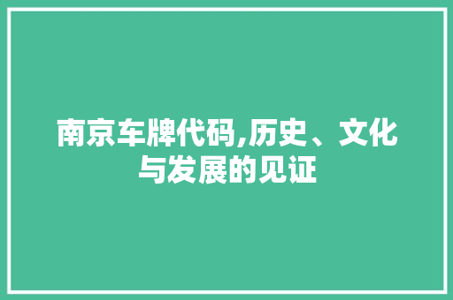 南京车牌代码,历史、文化与发展的见证