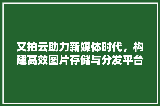 又拍云助力新媒体时代，构建高效图片存储与分发平台 友链在线