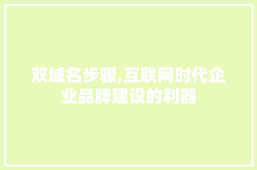 双域名步骤,互联网时代企业品牌建设的利器 SEO教程