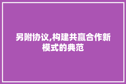 另附协议,构建共赢合作新模式的典范 友链在线