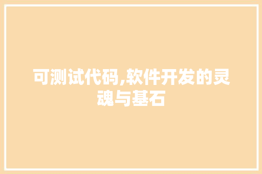 可测试代码,软件开发的灵魂与基石 建站教程