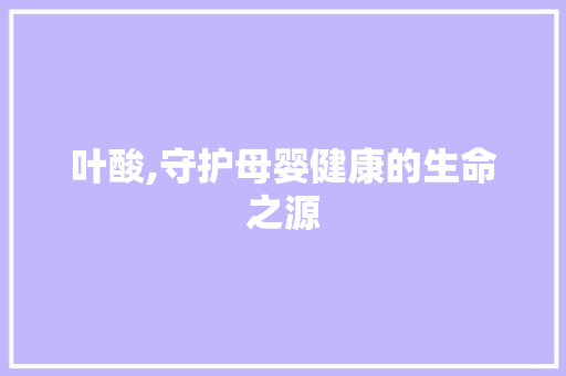 叶酸,守护母婴健康的生命之源 SEO教程