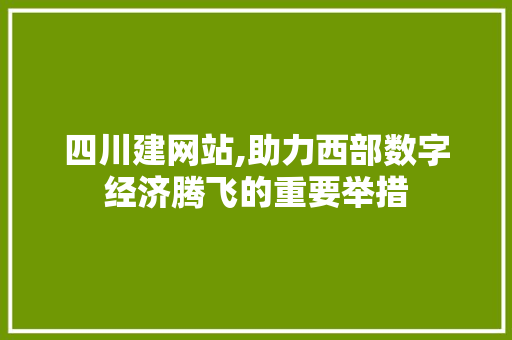四川建网站,助力西部数字经济腾飞的重要举措 建站教程