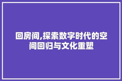 回房间,探索数字时代的空间回归与文化重塑 服务器/数据库