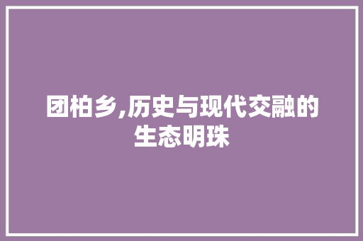 团柏乡,历史与现代交融的生态明珠 Web前端