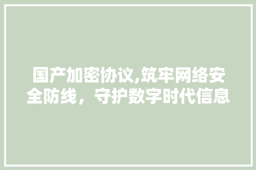 国产加密协议,筑牢网络安全防线，守护数字时代信息安全