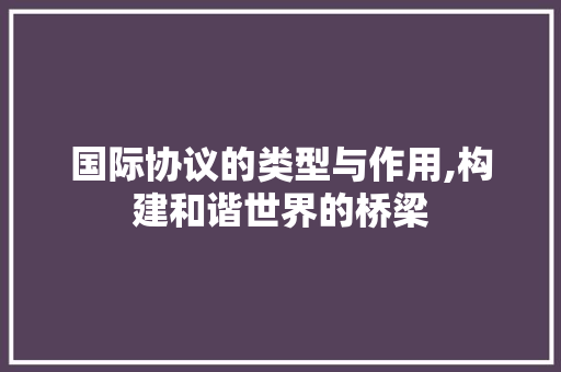 国际协议的类型与作用,构建和谐世界的桥梁