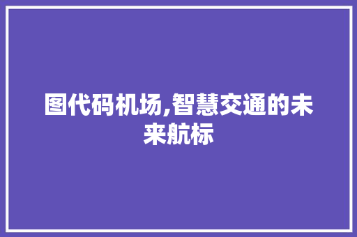图代码机场,智慧交通的未来航标