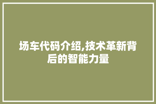 场车代码介绍,技术革新背后的智能力量