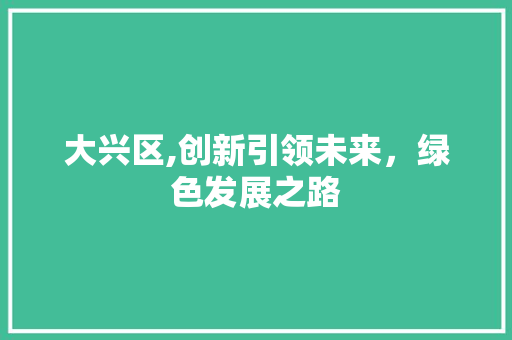 大兴区,创新引领未来，绿色发展之路 SEO教程