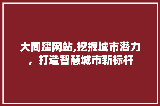 大同建网站,挖掘城市潜力，打造智慧城市新标杆