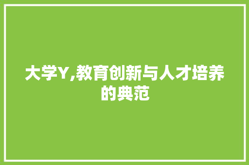 大学Y,教育创新与人才培养的典范