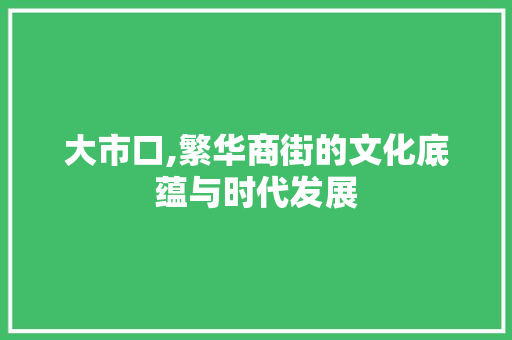 大市口,繁华商街的文化底蕴与时代发展 服务器/数据库