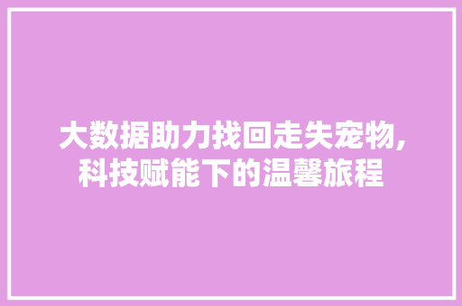 大数据助力找回走失宠物,科技赋能下的温馨旅程 SEO教程