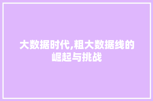 大数据时代,粗大数据线的崛起与挑战