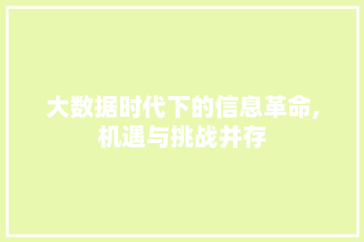 大数据时代下的信息革命,机遇与挑战并存
