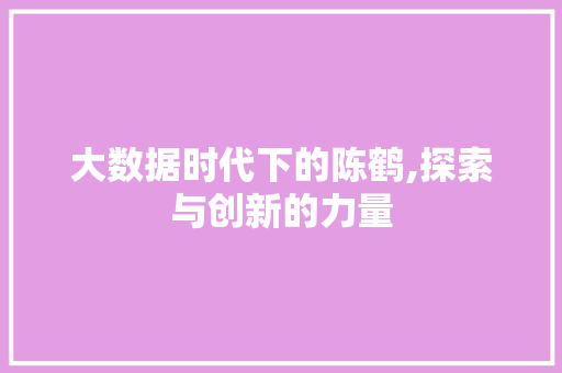 大数据时代下的陈鹤,探索与创新的力量