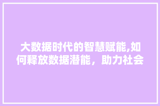 大数据时代的智慧赋能,如何释放数据潜能，助力社会创新发展