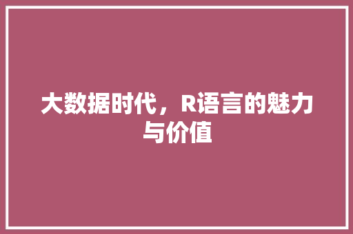 大数据时代，R语言的魅力与价值