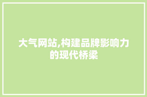 大气网站,构建品牌影响力的现代桥梁
