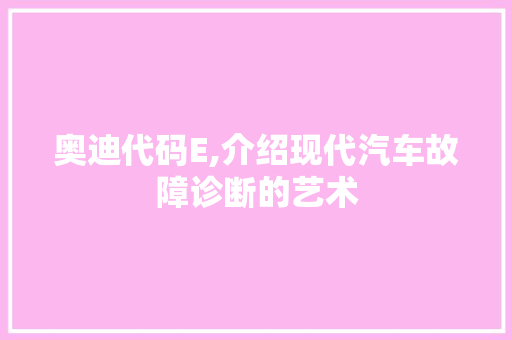 奥迪代码E,介绍现代汽车故障诊断的艺术