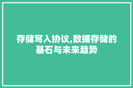 存储写入协议,数据存储的基石与未来趋势