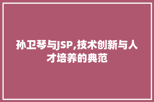 孙卫琴与JSP,技术创新与人才培养的典范 SEO教程