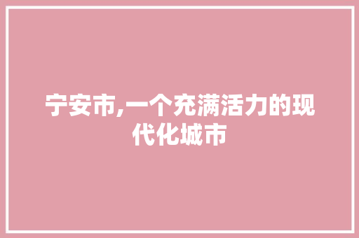 宁安市,一个充满活力的现代化城市