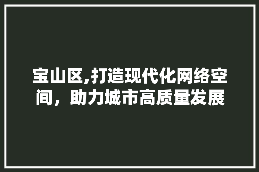 宝山区,打造现代化网络空间，助力城市高质量发展 Web前端