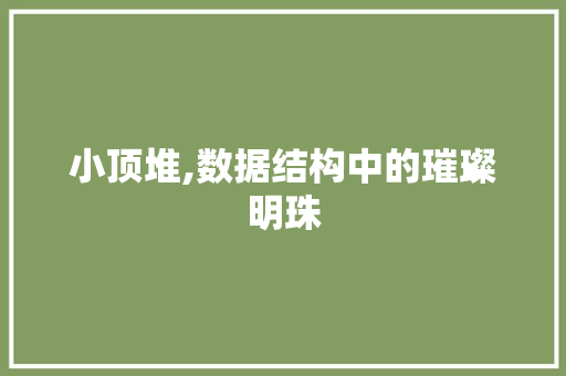小顶堆,数据结构中的璀璨明珠