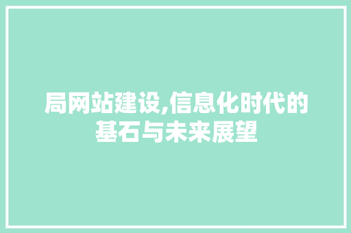 局网站建设,信息化时代的基石与未来展望