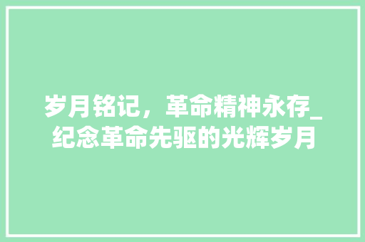 岁月铭记，革命精神永存_纪念革命先驱的光辉岁月 SEO教程